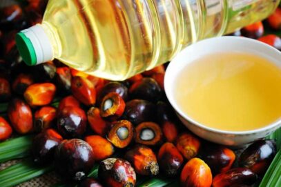 خوردنی تیل ہوگا سستا! انڈونیشیا نے پام آئل کے ایکسپورٹ پر سے پابندی ہٹانے کا کیا فیصلہ